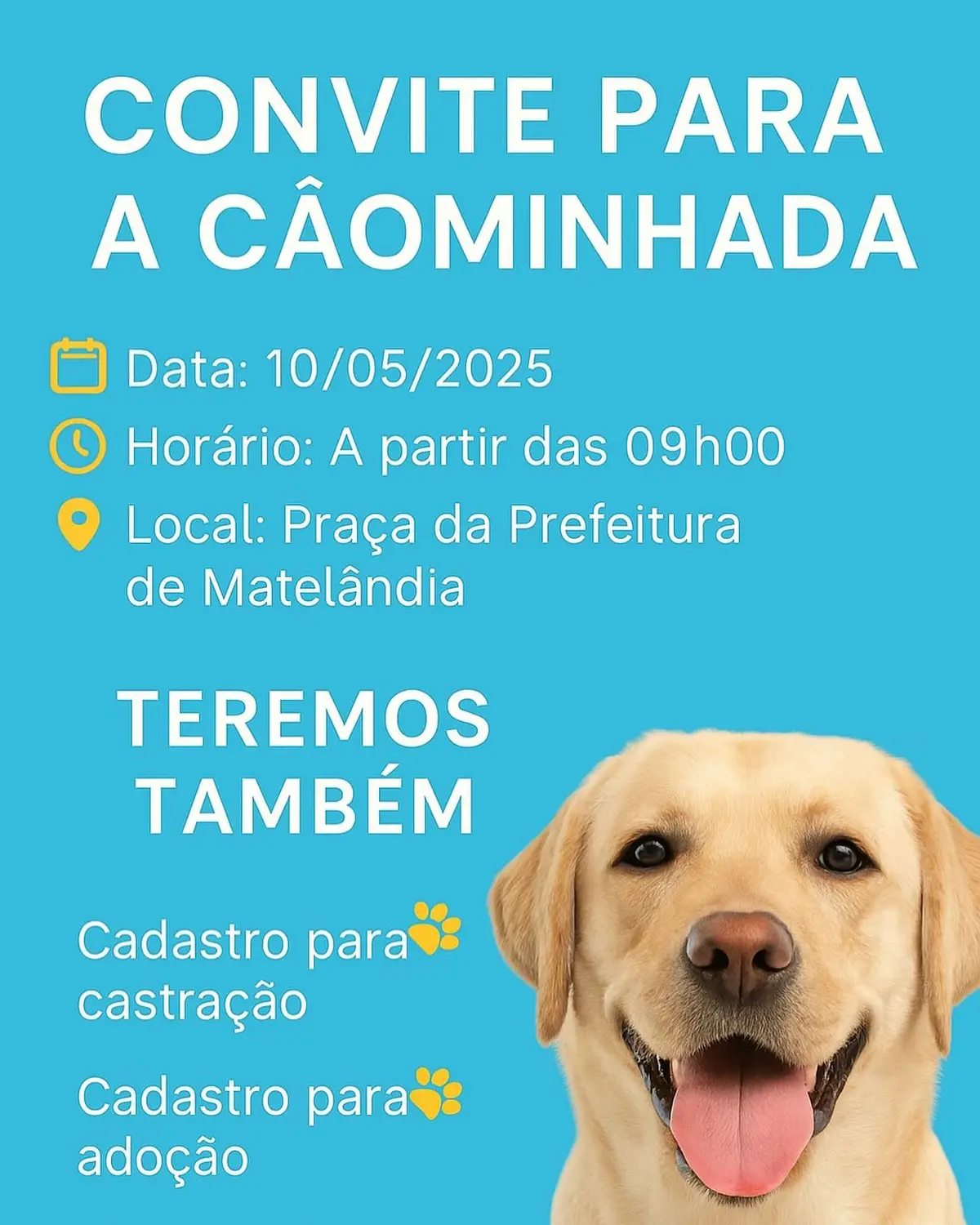 Capa: VEM AÍ A CÃOMINHADA!